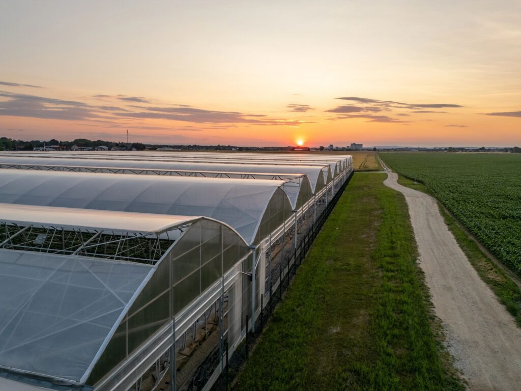 Scenic view of Agricultural Field and Greenhouse at Sunset