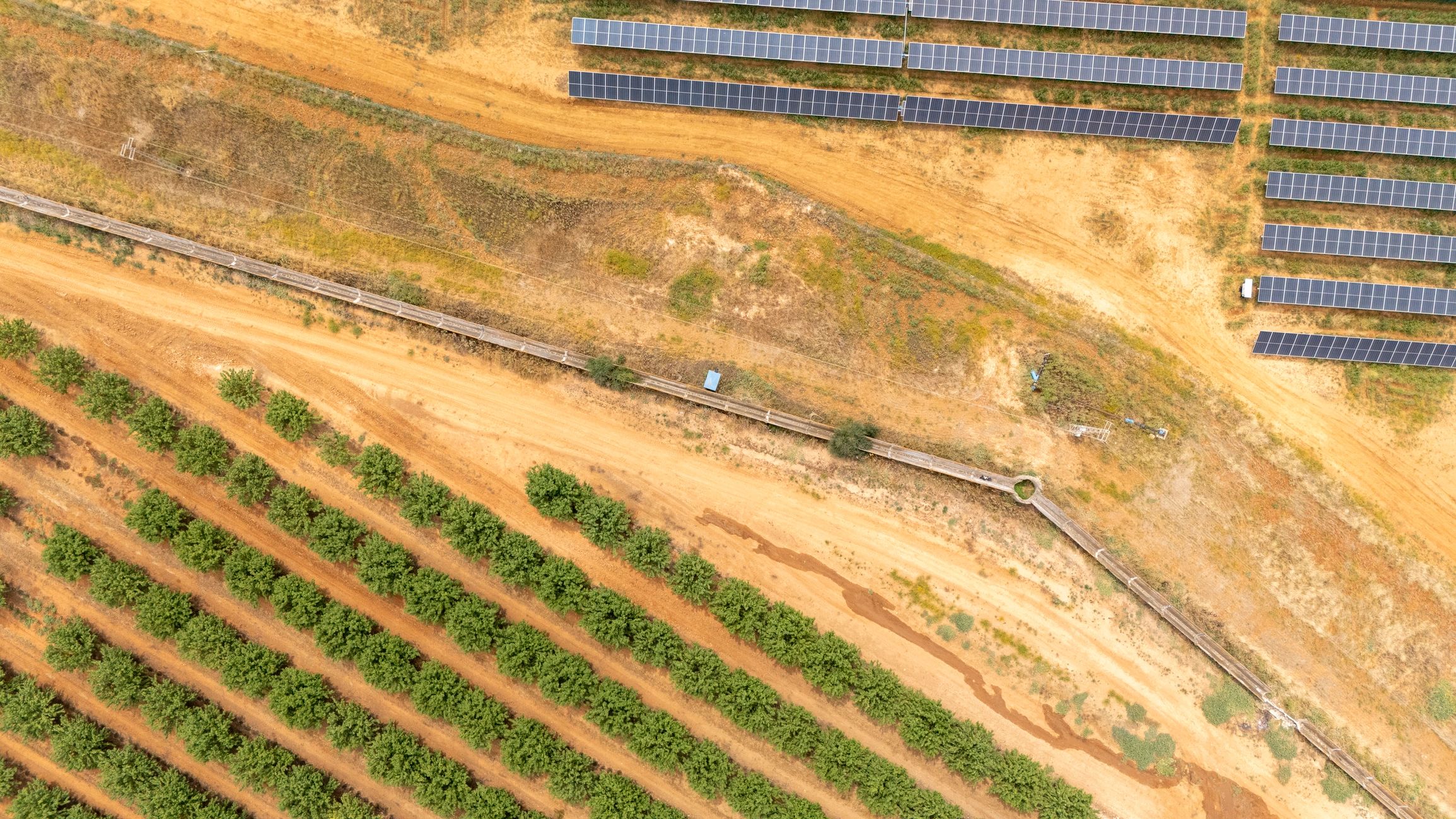 Aerial landscape combining orchard and solar energy