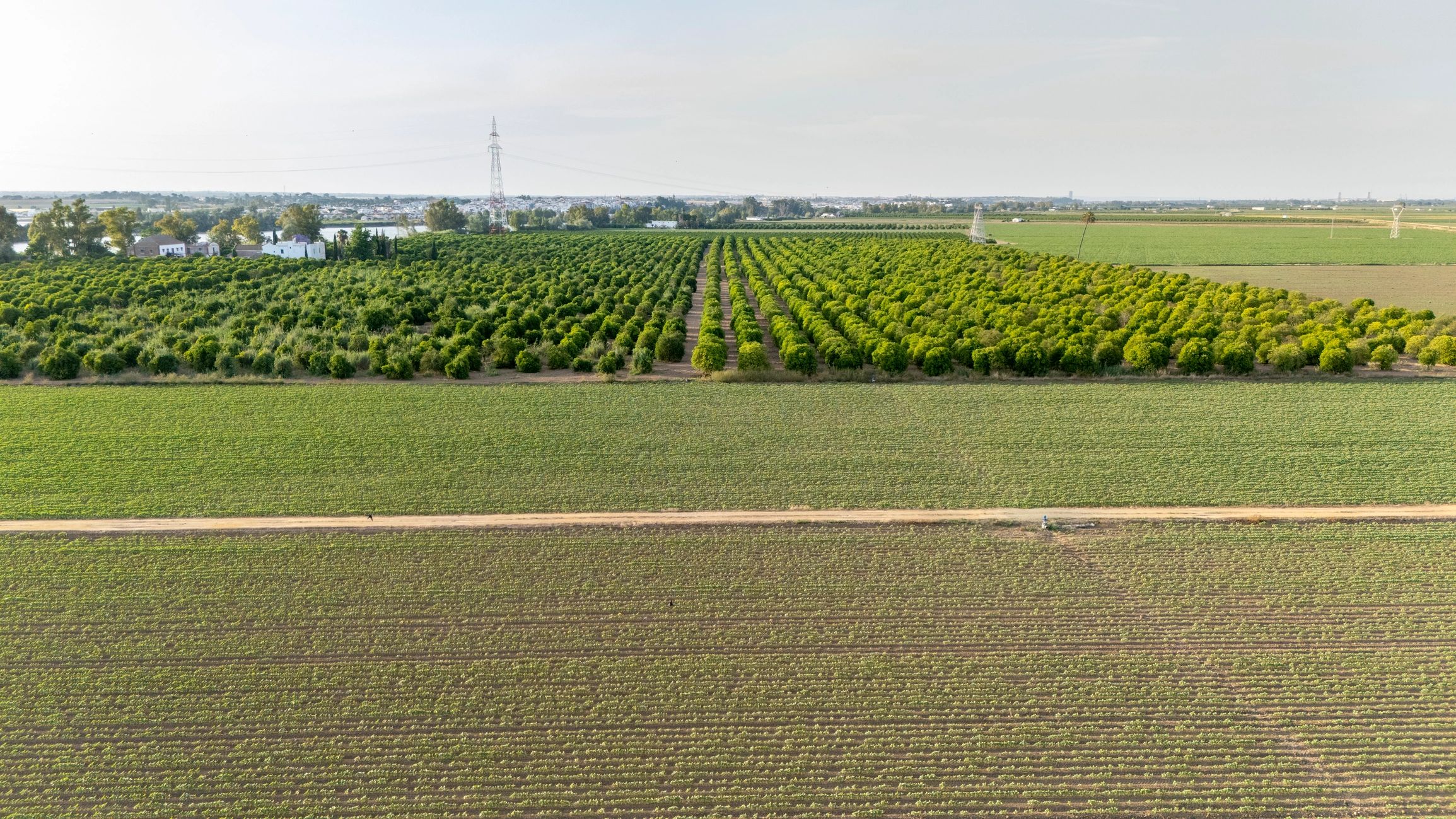 Aerial agricultural landscape illustrating the breadth of Measured's editorial coverage