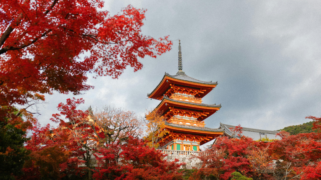 Traditional Japanese pagoda surrounded by red autumn foliage, illustrating Provar’s research participation at IHC2026 in Japan.